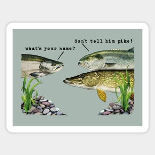 Dads Army - Don't Tell Him Pike! Magnet